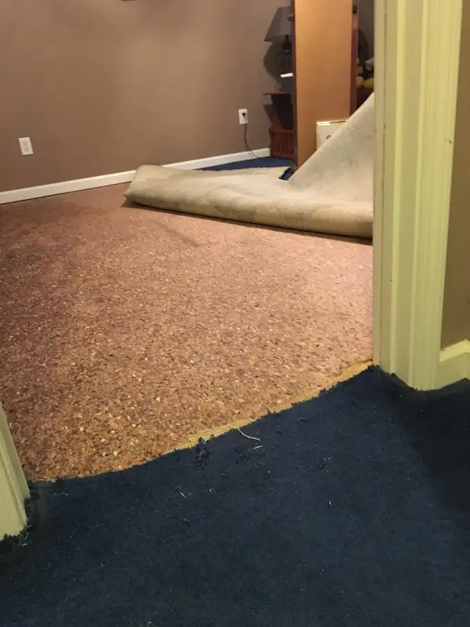 Carpet pad removal revealing water damage during Drying & Dehumidification in Savannah