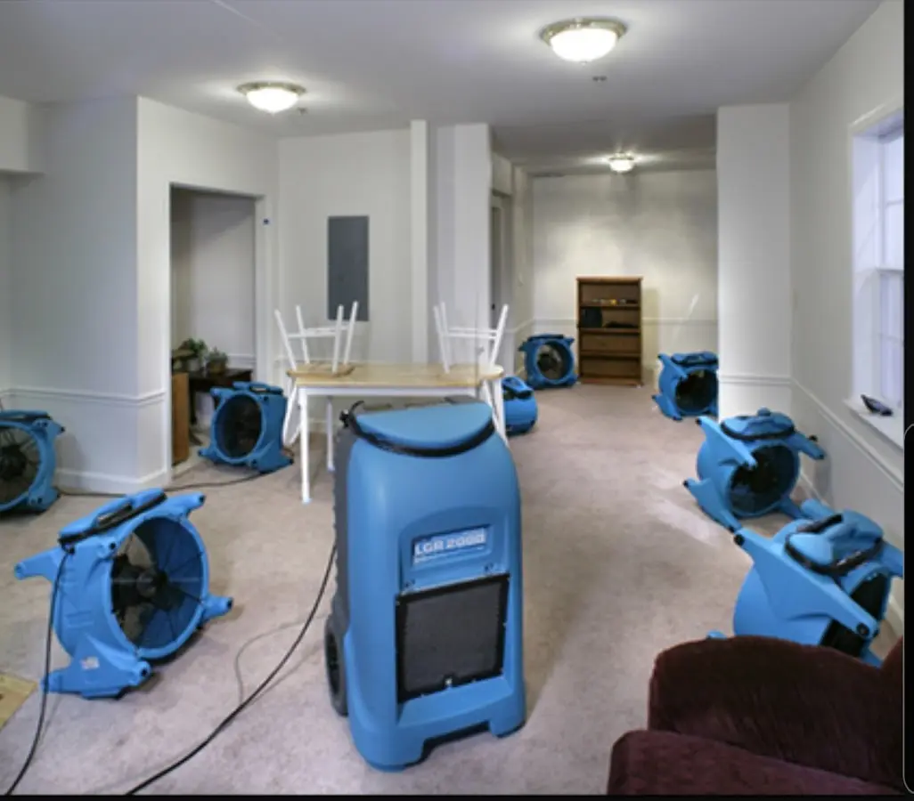 Air movers and dehumidifier setup for Water Extraction & Removal in Savannah