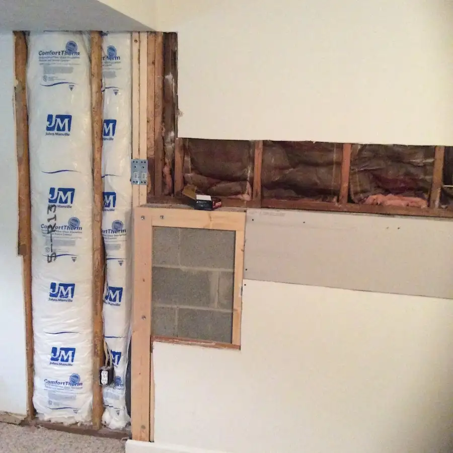Wall insulation replacement during Odor Removal & Deodorization in Savannah
